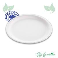 plato006