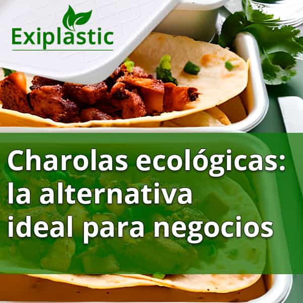 Charolas ecológicas: la alternativa ideal para negocios de comida rápida